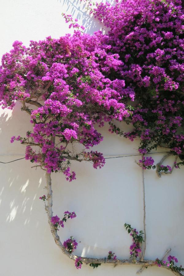 Las Rocas - Casa Diaz โรเซส ภายนอก รูปภาพ